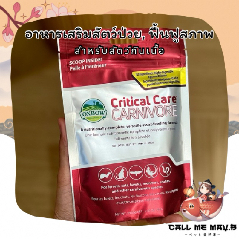 🔥ส่งด่วน! OXBOW Critical Care Carnivore อาหารสัตว์ป่วย | สำหรับสัตว์กินเนื้อ