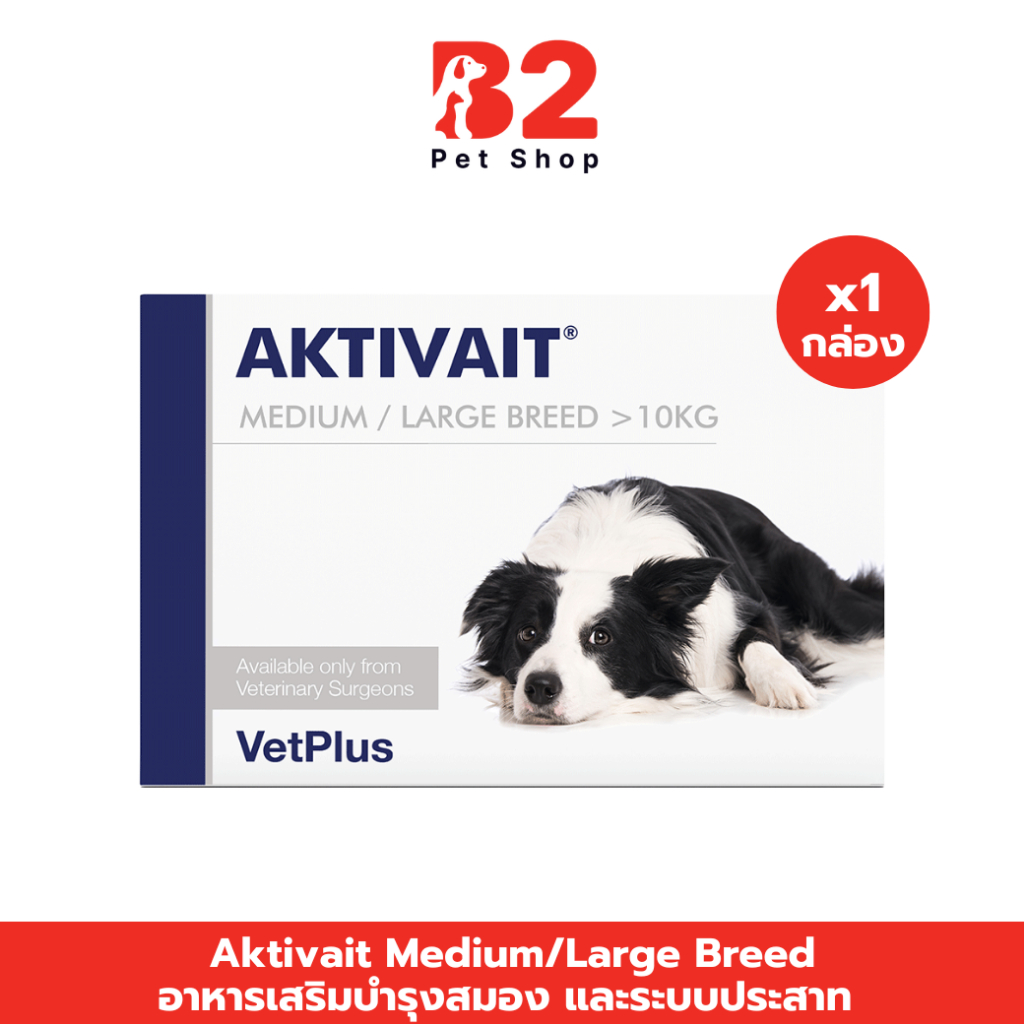 Aktivait Medium And Large breed  อาหารเสริมบำรุงสมองสำหรับสุนัขพันธุ์กลางและใหญ่