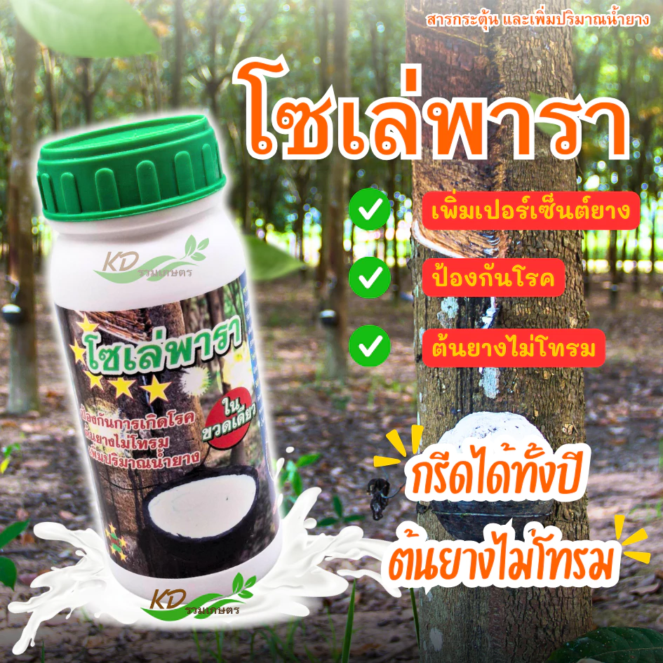 โซเล่พารา *ขยายท่อน้ำยาง เปลือกนิ่ม กรีดง่ายไม่สะดุดมือ เพิ่มปริมาณน้ำยาง ป้องกันการเกิดโรคหน้าตาย ราสีชมพู เส้นยางดำ