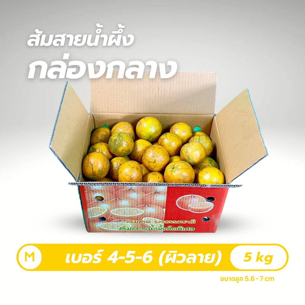 รูปภาพ 4