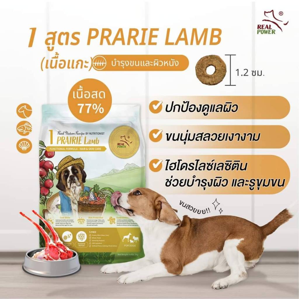 โปร 1 แถม 2 Real power Dog No.1 lamp 500 g อาหารสุนัขเกรดโฮลิสติก No.1 สูตรแกะ500 กรัม