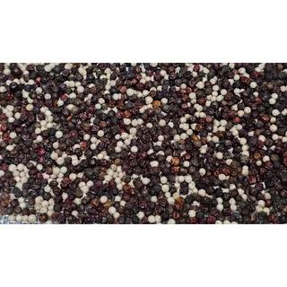 ไทยแบล็คโกลด์ พริกไทยตรัง GI พันธุ์ปะเหลียน เกรดพรีเมียม ซองซิป 30g | Thai Black Gold Trang Pepper (ดำ / แดง / ขาว)