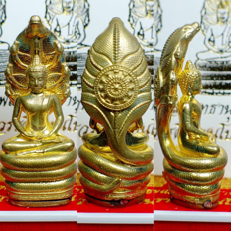 พระพุทธชัยมหานาถ ( พระนาคปรก) ย้อนยุคพระเจ้าชัยวรมันที่7 พิธีไหว้ครูบูรพาจารย์ หลวงพ่อพัน ปภาโส วัดตรางสวาย จ.ศรีสะเกษ