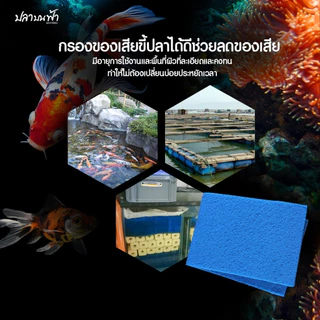 ใยกรองน้ำเงิน ใยกรองละเอียดชนิดหนาแน่น ขนาด 90*30*2 ซม. ตัดเข้าทรงง่าย สามารถซักแล้วนำกลับมาใช้ใหม่ได้