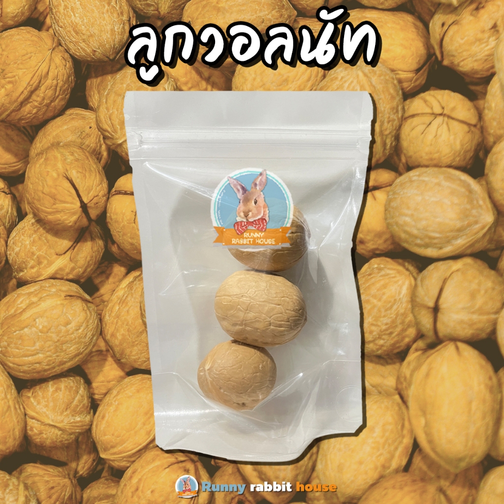 Runny RH วอลนัท เคี้ยวเพลิน อาหารเสริมแฮมเตอร์ นก ชูการ์