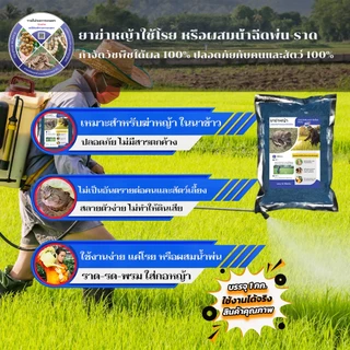 ยาฆ่าหญ้า วัชพืช ไม้เลื้อย ที่ปลอดภัยกับคนและสัตว์เหมาะสำหรับบ้านหรือสวนที่มีการเลี้ยงสัตว์ ในนาข้าว