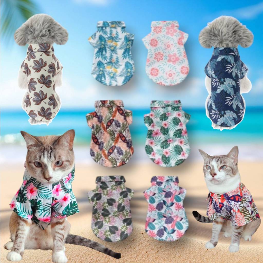 (B13)เสื้อสงกรานต์สุนัข - แมว (*พร้อมส่งจากไทย!!*) เสื้อฮาวาย ธีมSummer เสื้อเชิ๊ตสัตว์เลี้ยง สีสันสดใส สินค้าสวยตรงปก