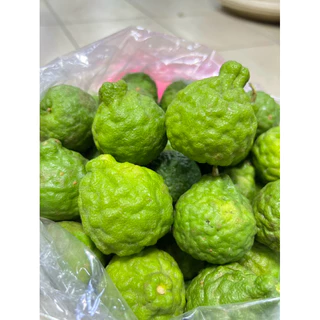 ลูกมะกรูด 1กก. สด,ใหม่จากต้น💯🌱