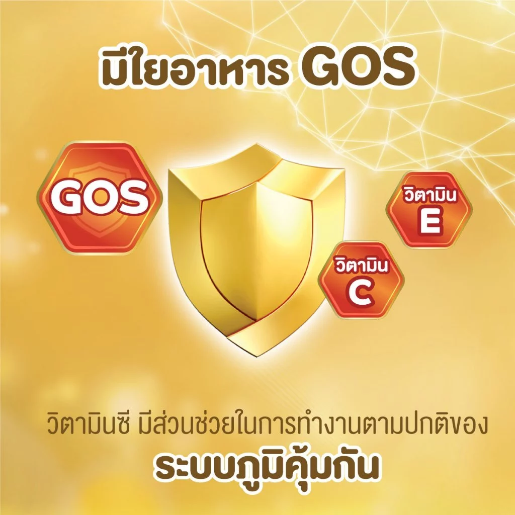 [ขายยกลังx3] โฟร์โมสต์ โอเมก้า สมาร์ท โกลด์ 1 พลัส รสจืด 180มล (24กล่อง/ลัง) Foremost Omega Smart Gold 1 Plus Plain180ml thumbnail 5