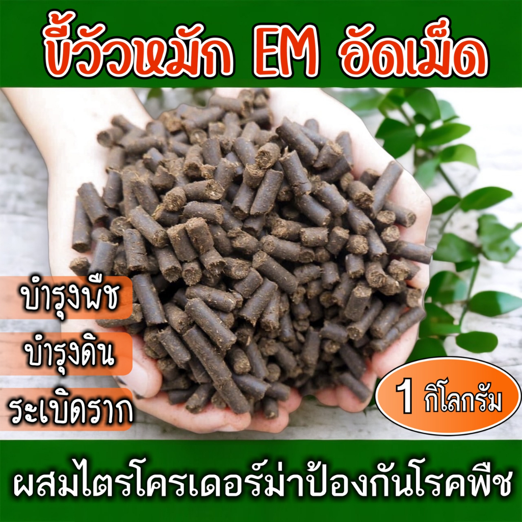 ขี้วัวอัดเม็ด อย่างดี ขี้วัวหมัก EM อัดเม็ด ผสมไตรโครเดอร์ม่าป้องกันโรคพืช มูลวัว ขี้วัว ธาตุอาหารสูงบำรุงพืชระเบิดราก
