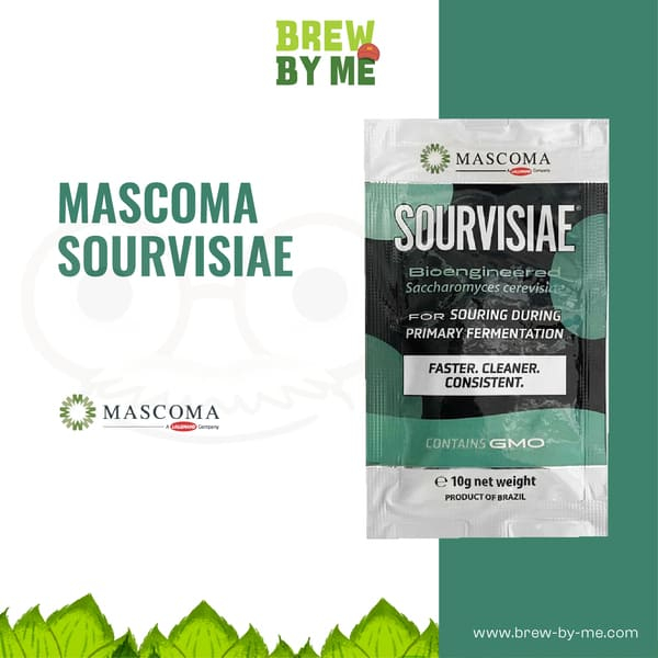 ยีสต์หมักเบียร์ SOURVISIAE® Lallemand #homebrew