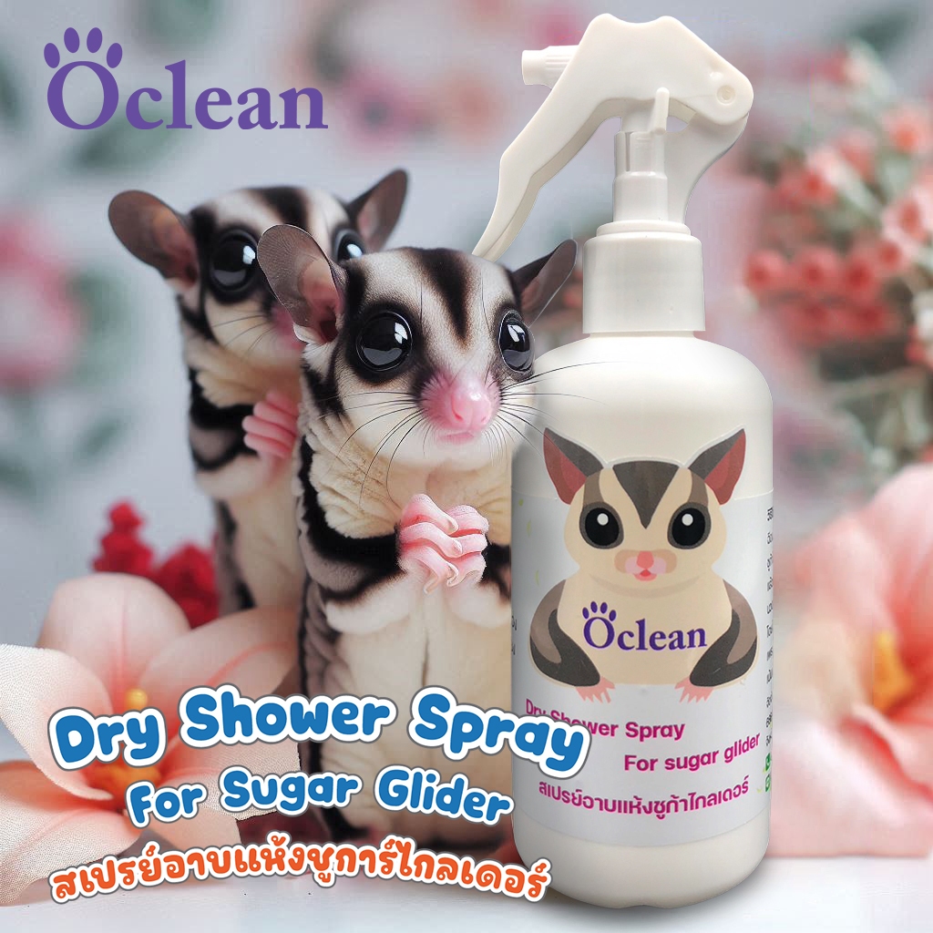 รูปภาพ 5