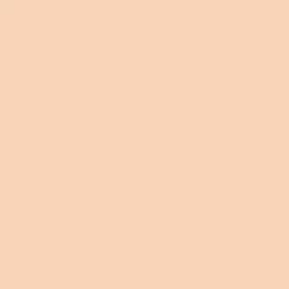 MILLE Perfect Matte Long Wear Cushion SPF50 PA+++ (6 g.) พมิลเล่ เพอร์เฟ็กต์แมทท์ลอง แวร์คูชั่น