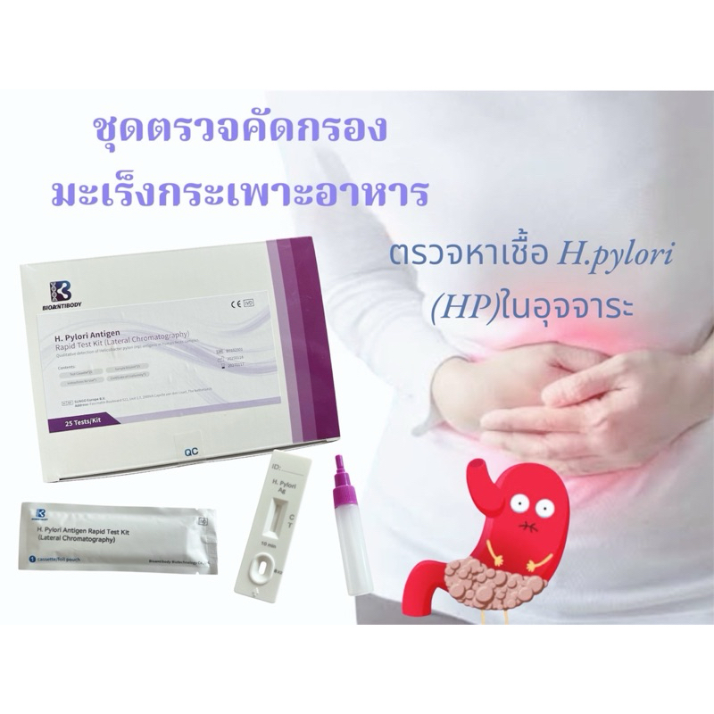 ชุดตรวจหาเชื้อ H.Pylori ในกระเพาะอาหาร สาเหตุของโรคกระเพาะอาหารเรื้อรัง มะเร็งกระเพาะอาหาร  (ตรวจอุจจาระ) ราคา/1 ชุด