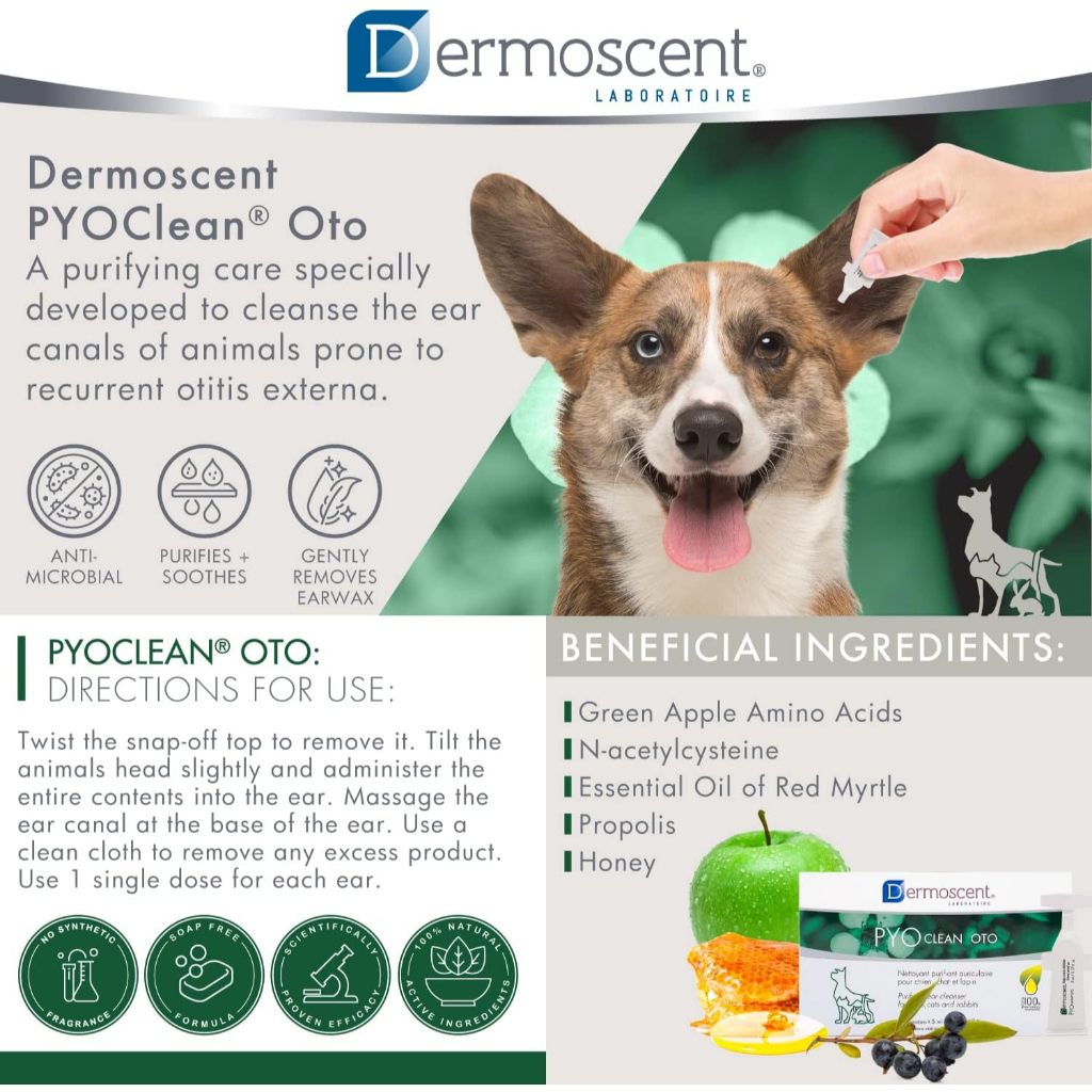 Dermoscent [แท้💯] PYOclean OTO ผลิตภัณฑ์ดูแลช่องหู หูอักเสบ ติดเชื้อ สำหรับสุนัข แมว และกระต่าย 🇫🇷