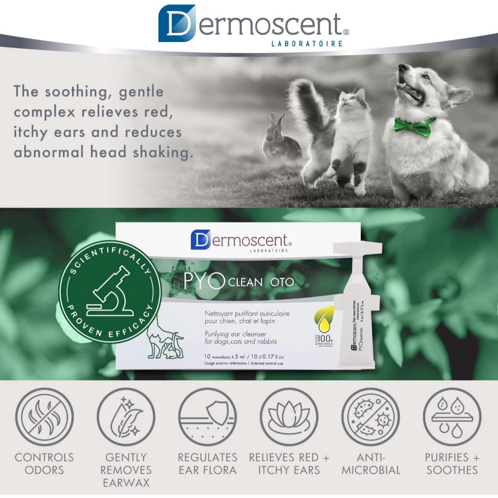 Dermoscent [แท้💯] PYOclean OTO ผลิตภัณฑ์ดูแลช่องหู หูอักเสบ ติดเชื้อ สำหรับสุนัข แมว และกระต่าย 🇫🇷