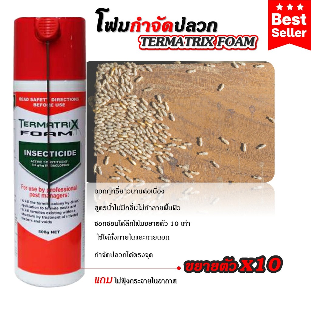 Termatrix Foam เทอร์มาทริกซ์ โฟม โฟมกำจัดปลวก ฆ่าปลวก ขนาด 500 กรัม