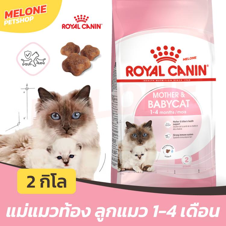 Royal Canin Babycat รอยัลคานิน อาหารลูกแมว อายุ 1-4 เดือน แม่แมว ท้อง ให้นม ขนาด 4 kg
