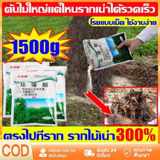 ยาฆ่าไผ่ ยาฆ่าหญ้ 500g ไม่ทำลายดิน รวดเร็ว ทนนาน ผงกำจัดต้นไ…