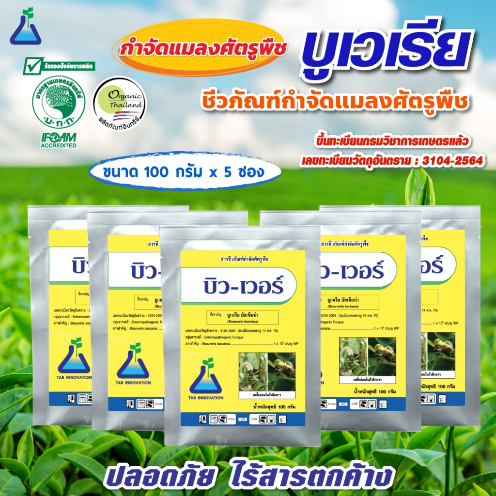 บิว-เวอร์ ขนาด 100 กรัม x 5 ซอง  บูเวเรีย บัสเซียน่า บิวเวอร์เรีย กำจัดแมลง Beauveria bassiana, Bio-insecticide 100g x 5