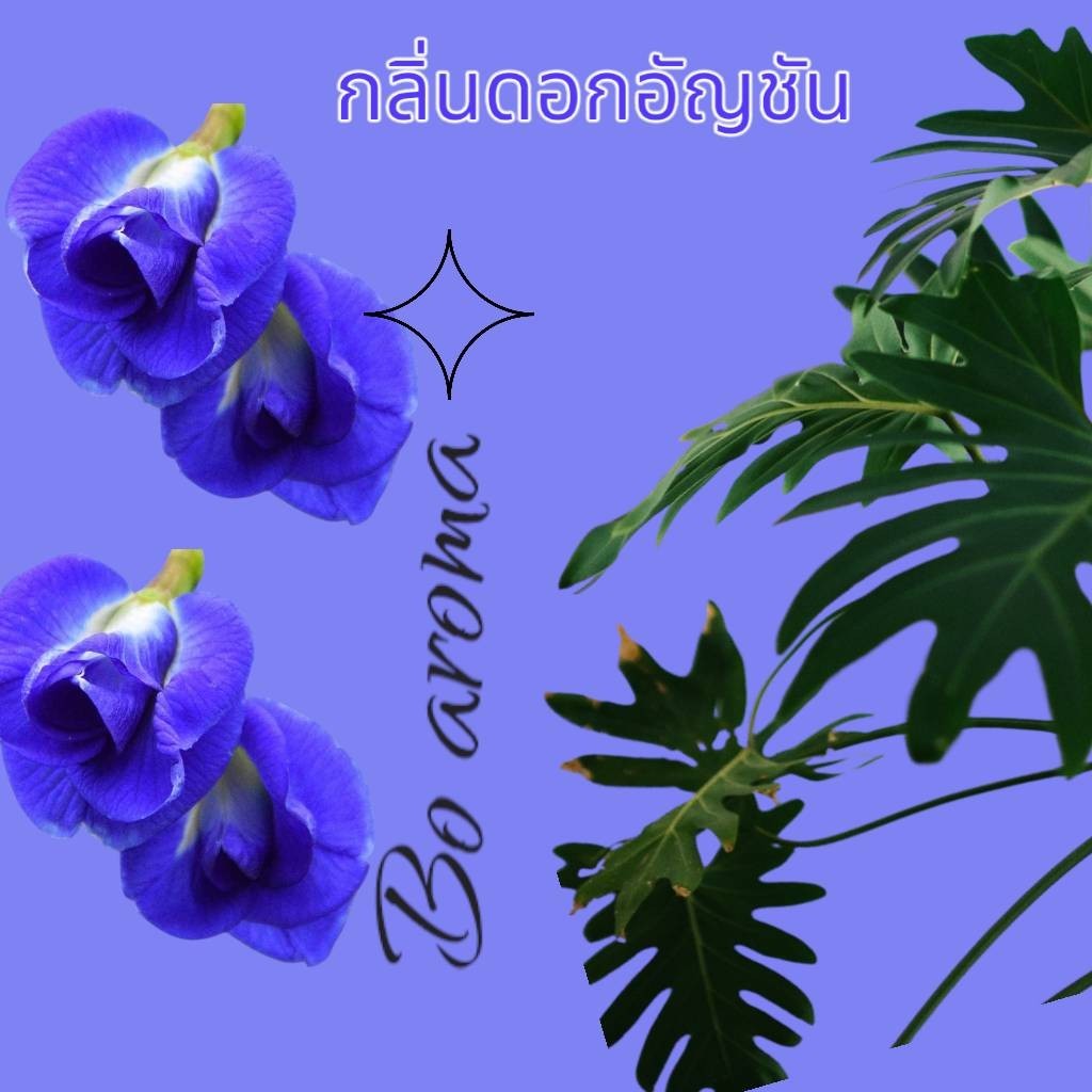 เกลือหอมดับกลิ่น  เกลือหอมปรับอากาศขนาด 50 และ 100กรัม ใช้ในห้องนอน ห้องน้ำ ตู้เสื้อผ้า - รูปที่ 3