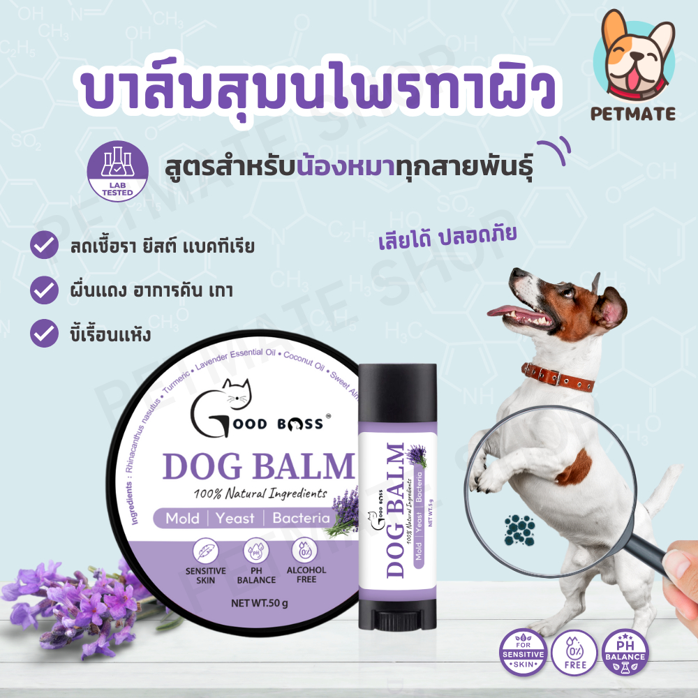 Goodboss Cat Spray สเปรย์สำหรับเเมว ลดเชื้อรา ยีสต์ เเบคทีเรีย อาการคัน ขนร่วง สกัดจากธรรมชาติ