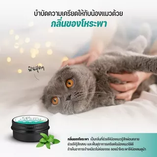 Goodboss Cat Balm บาล์มสำหรับเเมว ลดเชื้อรา ยีสต์ เเบคทีเรีย อาการคัน ขนร่วง สกัดจากธรรมชาติ