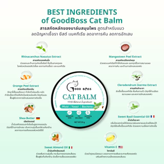 Goodboss Cat Balm บาล์มสำหรับเเมว ลดเชื้อรา ยีสต์ เเบคทีเรีย อาการคัน ขนร่วง สกัดจากธรรมชาติ