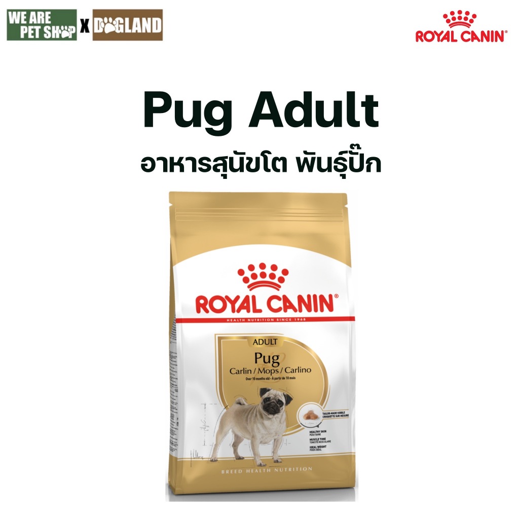 Royal Canin Dog Pug Adult อาหารสุนัขพันธุ์ปั๊ก
