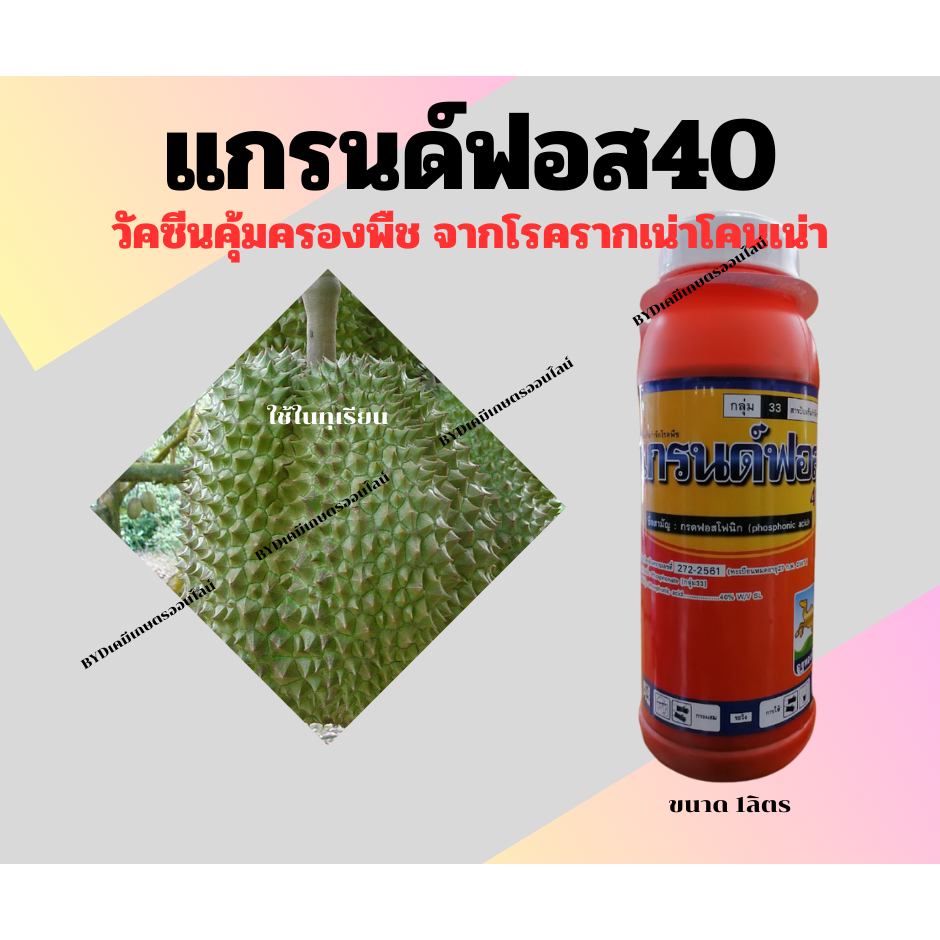 แกรนด์ฟอส ขนาด1ลิตร    สารฟอสโฟนิก แอซิค 40% คุณภาพสูง ยาฝังเข็มกันโรครากเน่าโคนเน่าในทุเรียน
