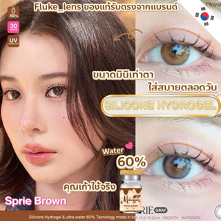 คอนแทคเลนส์เกาหลี Silicone Hydrogel เลนส์พรีเมี่ยมMayalens 🤎…