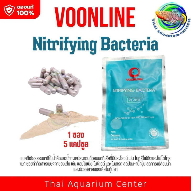 แบคทีเรียไนตริไฟอิง (Nitrifying Bacteria) Voonline