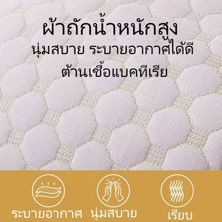 หมอนเพื่อสุขภาพ นุ่ม ฟู นอนหลับนาน ไม่ยุบ ป้องกันไรฝุ่น รองรับเอวและไหล่ หมอนนุ่ม ฟู pillows หมอน หัว ซักด้วย