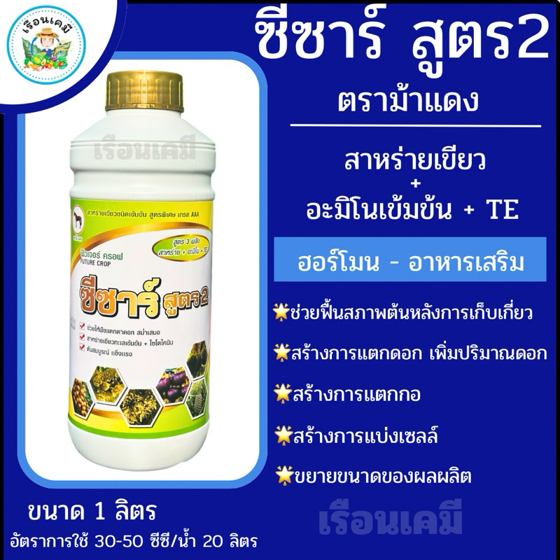 ซีซาร์ สูตร 2 (สาหร่าย+อะมิโน+ธาตุรวม+ไซโตไคนิน)ขนาด 1 ลิตร