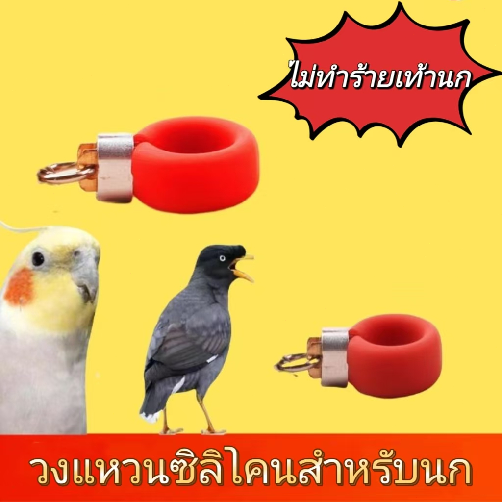 ห่วงคล้องขานก ทำจากซิลิโคนนุ่ม ออกแบบตะขอปรับได้ ปลอดภัยและสบาย เหมาะสำหรับนกแก้วและเลิฟเบิร์ด