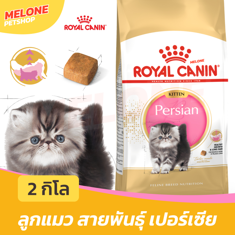 Royal Canin Persian Kitten รอยัลคานิน อาหารลูกแมว พันธุ์ เปอร์เซีย ลูกแมว บำรุงขน ลดขนร่วง อายุ 4-12 เดือน 2 kg