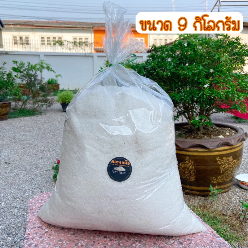 ดอกเกลือแท้100% ขนาด9กิโล ทานได้ ไม่ฟอกขาว ส่งจากแม่กลองสมุทรสงคราม