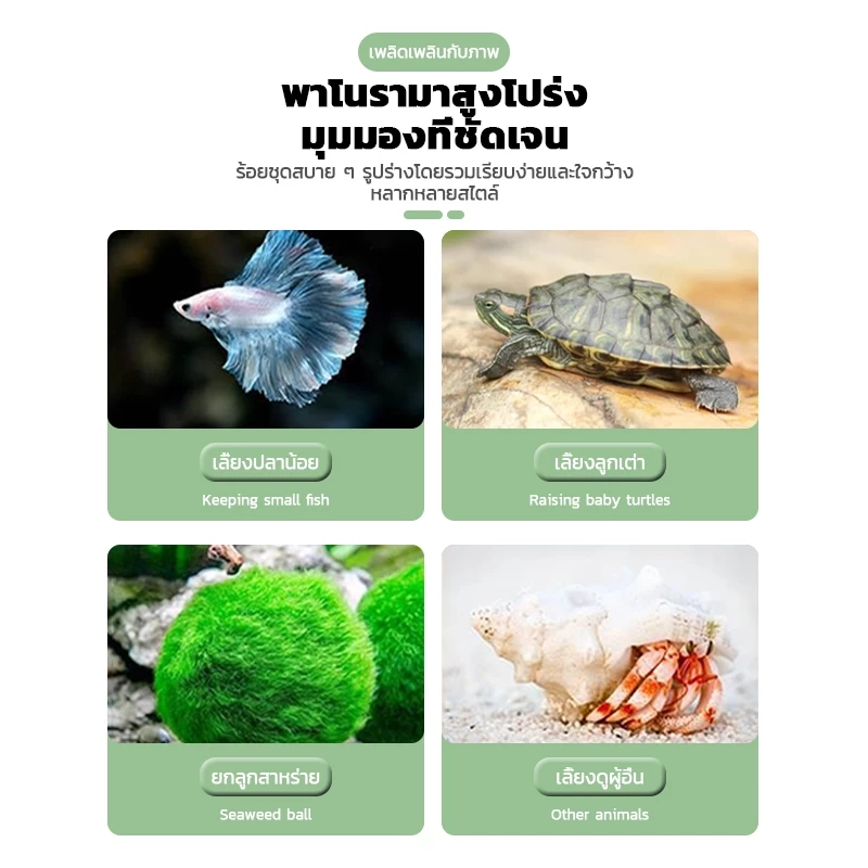 ตู้ปลากัด โหลปลากัด ABS แข็งแรง พร้อมฝาปิด หลายขนาด thumbnail 9