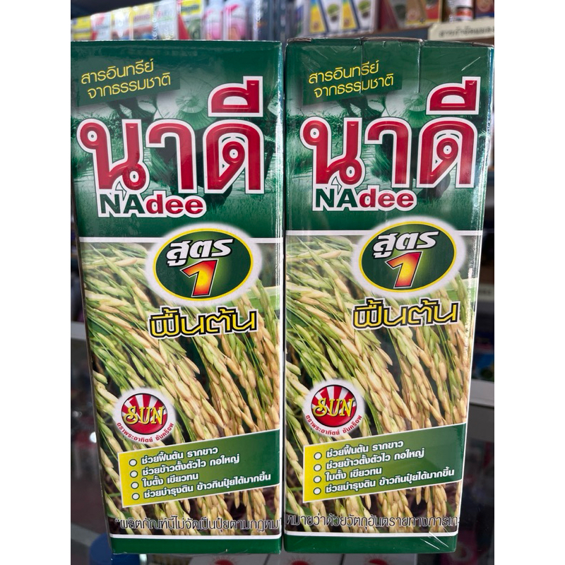 นาดี สูตร1 ฟื้นต้น รากขาว ใบเขียว ใบตั้ง ตั้งตัวไว กอใหญ่ รูปที่ 5