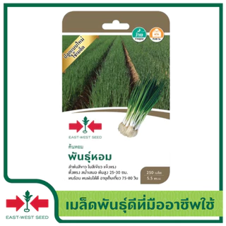 ศรแดง เมล็ดพันธุ์ต้นหอม พันธุ์หอม (East-West Seed) เมล็ดพันธุ์ ผักสวนครัว ตราศรแดง