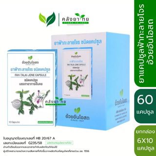 [ยกกล่อง] ฟ้าทะลายโจรแคปซูล อ้วยอันโอสถ แคปซูล ขนาด 6x10 แคป…