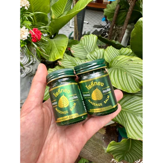 โพธิ์ทอง ยาหม่อง สมุนไพรไทย 50g Massage BALM ยาหม่องเขียวโพธิ์ทอง