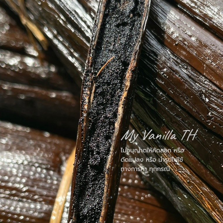 >>มาใหม่<< ฝักวานิลลา 4กรัม+ เกรดGOURMET 16-19 cm**นำเข้าจากประเทศมาดากัสการ์**(MADAGASCAR BOURBON VANILLA) ฝักละ149 บาท