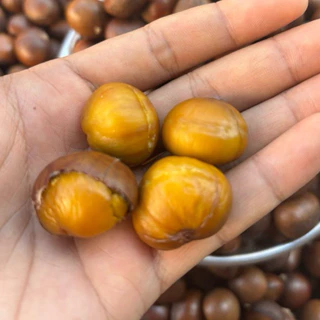 เกาลัดญี่ปุ่นคั่วสด 🌰ใหม่ทุกวันคุ้มสุด❗️คัดเกรดAไม่ปนปากแตก (900g) หวานมัน,ไม่ต้ม,ไม่ใส่น้ำมัน,ล้างสะอาด💧พร้อมทาน