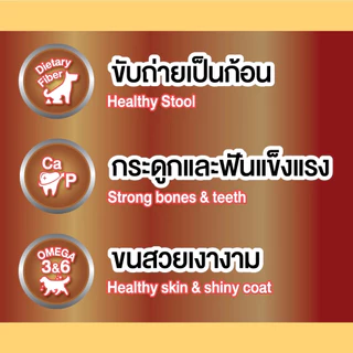Bingo Star Yummy Stick ขนมสุนัขแท่ง สุนัขโต บำรุงขน เสริมแคลเซียม รส นม ไก่ ตับ เนื้อ แซลมอน เป็ด ขนาด 500 กรัม