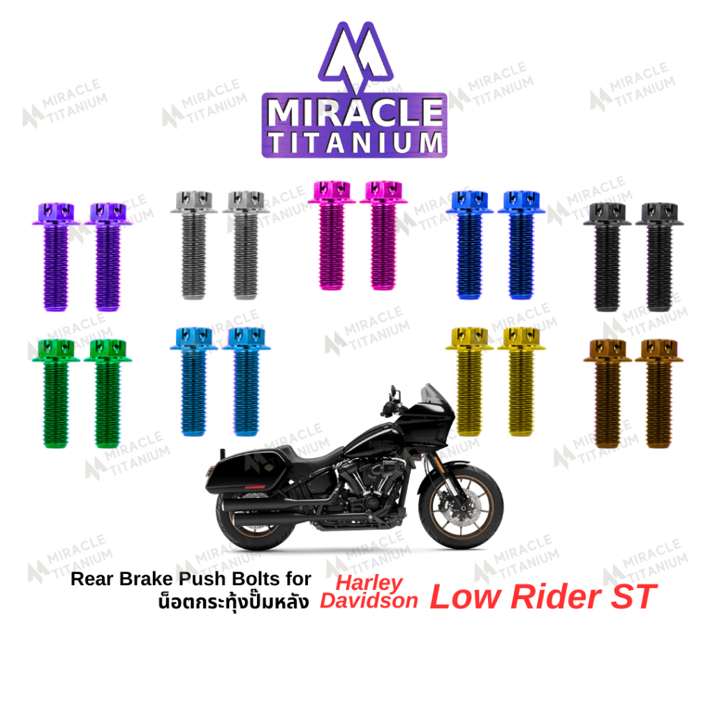 Harley-Davidson (Low Rider ST) Titanium Rear Brake Push Bolts น็อตกระทุ้งเบรคหลัง ไทเทเนียม