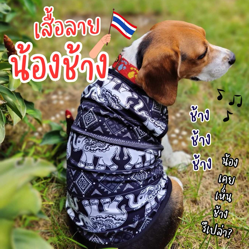 🇹🇭พร้อมส่ง🇹🇭 เสื้อลายช้าง เสื้อหมา เสื้อแมว เนื้อผ้าไมโคร นิ่ม ใส่สบาย ขนไม่ติด มีลายให้เลือกเยอะสุด