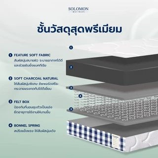 Solomon ที่นอนสปริงไฮบริด รุ่น Cloud หนา 10 นิ้ว