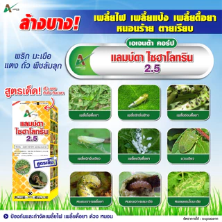 แลมป์ดา ไซฮาโลทริน สูตรเย็น ออกฤทธิ์เร็ว กำจัดหนอน หนอนเจาะต้น แมลงหวี่ขาว เพลี้ย เอเจนต้า คอร์ป ขนาด 1 ลิตร