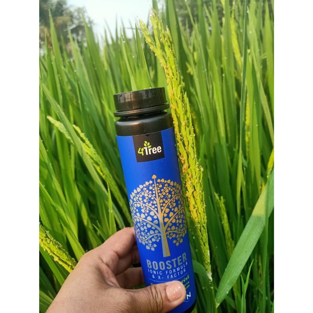 💥4Tree Booster💥 พลัง❎4 💪แกร่ง ไม่เกรงใจเมีย 🍆🔥